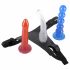 You2Toys - Uppblåsbart dildo set! - färgglad