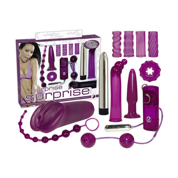 You2Toys - Erotiska överraskningar - vibrator kit (12-delad)