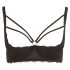 Cottelli Plus Size - Strappy, Ringed Push-Up Bra (Black) 