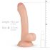 Real Fantasy Vince - dildo med testiklar och förhud - 19,5 cm (naturlig)