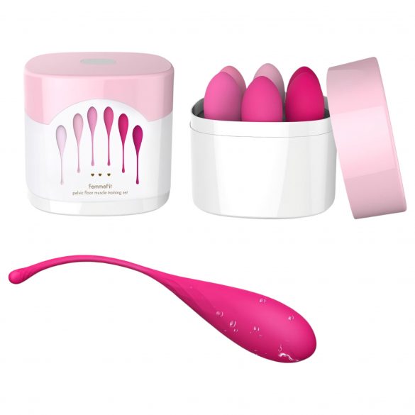 FEELZTOYS Femmefit - geishakulor set (6 delar)